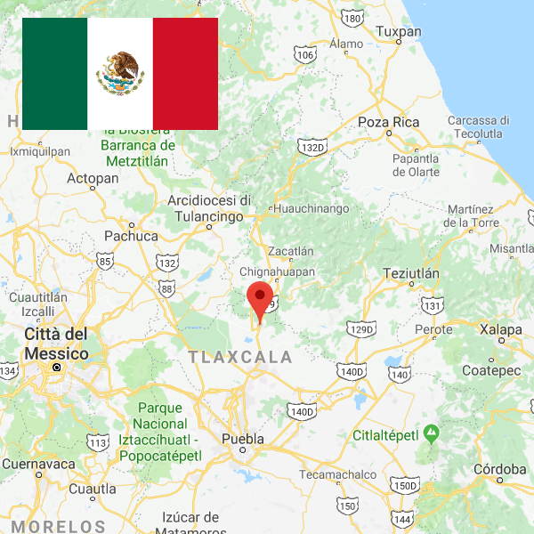 mexico_plant_tlaxco